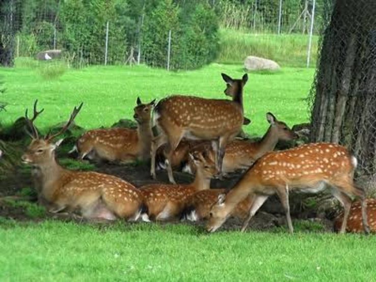 Deer Park Trip Packages